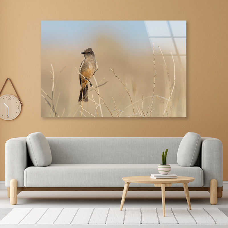 A Bird Perched On a Branch Close-up View Acrylic Glass Print Tempered Glass Wall Art 100% Made in Australia Ready to Hang