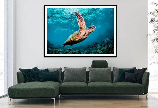 Graceful Swimming Sea Turtle Home Decor Premium Quality Poster Print Choose Your Sizes