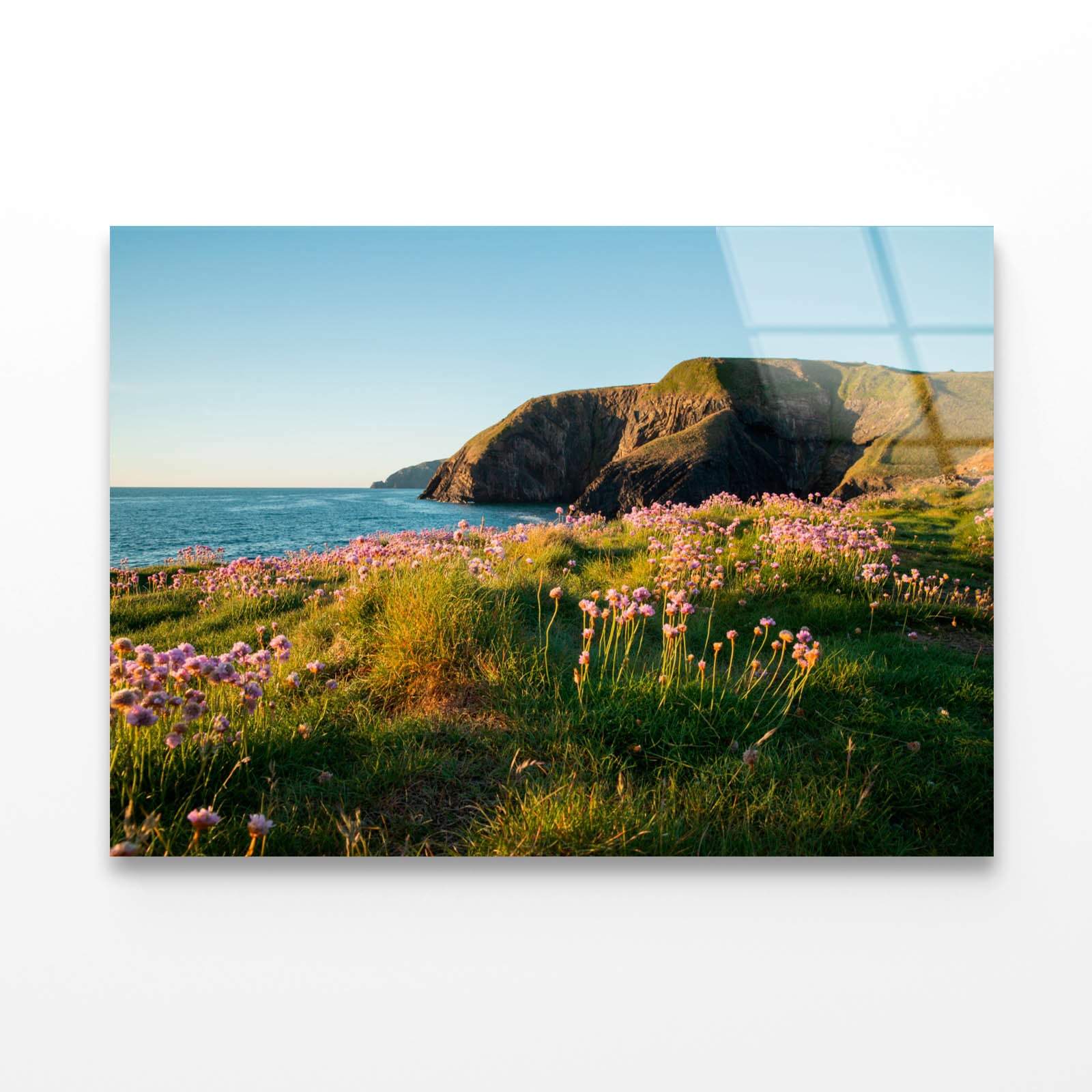 Pink Sea Thrift Acrylic Glass Print Tempered Glass Wall Art 100% Made in Australia Ready to Hang