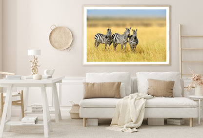 Herd of Zebras on Long Grass Land Home Decor Premium Quality Poster Print Choose Your Sizes