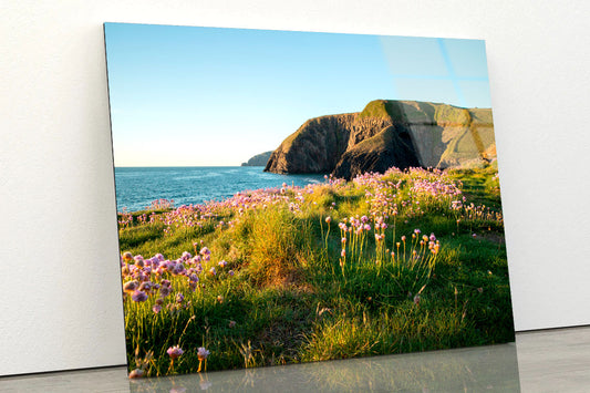 Pink Sea Thrift Acrylic Glass Print Tempered Glass Wall Art 100% Made in Australia Ready to Hang
