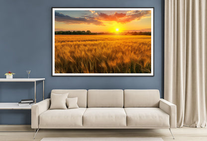 Rainbow Rural Landscape with Wheat Fields At Sunset Home Decor Premium Quality Poster Print Choose Your Sizes