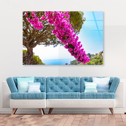 Branch Of Bougainvillea Flowers Acrylic Glass Print Tempered Glass Wall Art 100% Made in Australia Ready to Hang