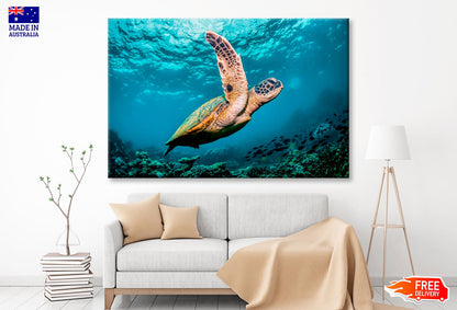 Graceful Swimming Sea Turtle Wall Art Decor 100% Australian Made