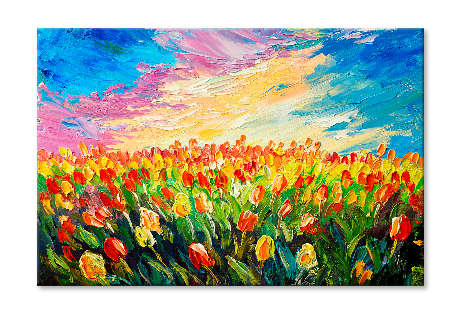 Tulip Flowers Meadow Oil Painting Wall Art Limited Edition High Quality Print Stretched Canvas None