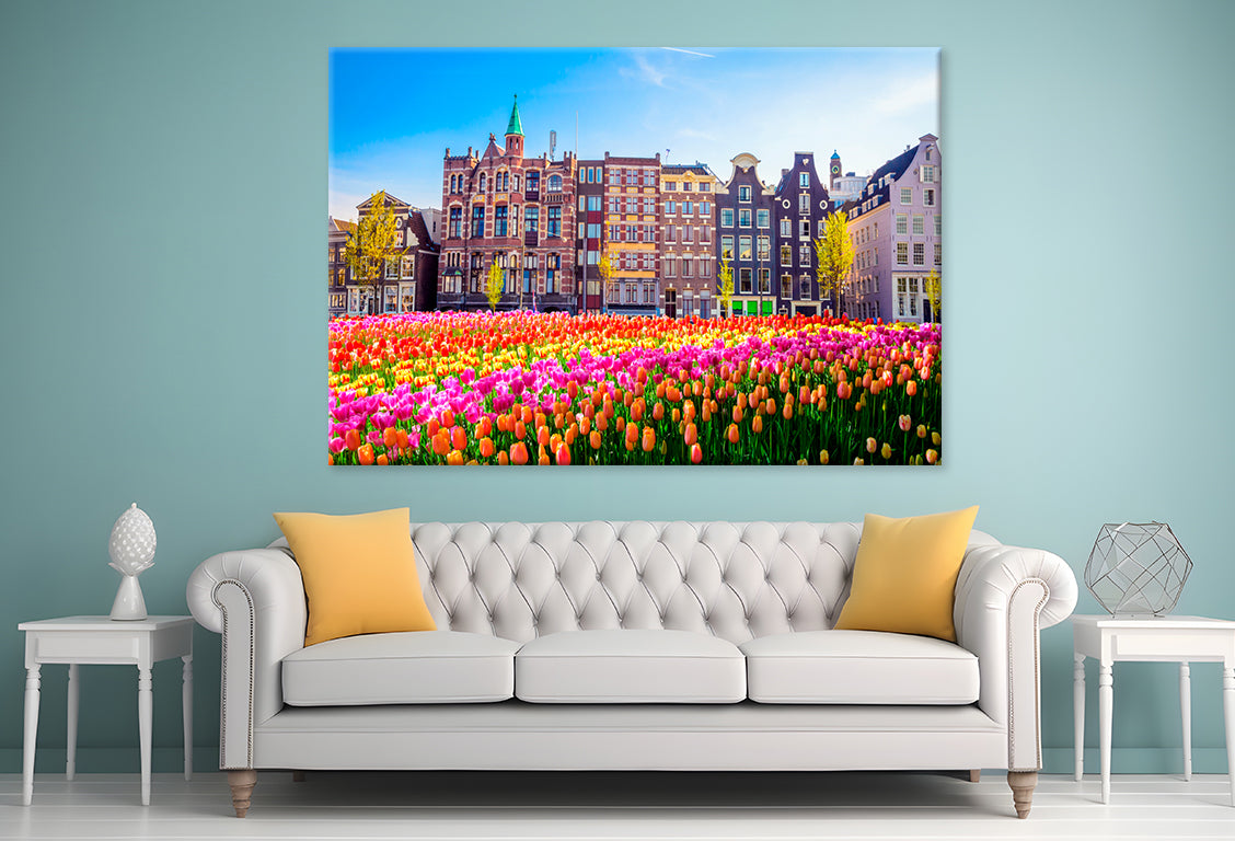 Buildings Tulips Amsterdam Wall Art Decor 100% Australian Made