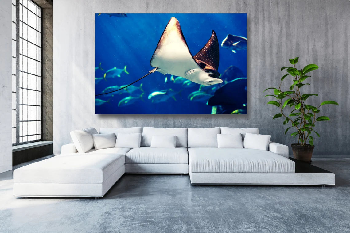 Manta Ray UV Direct Aluminum Print Australian Made Quality