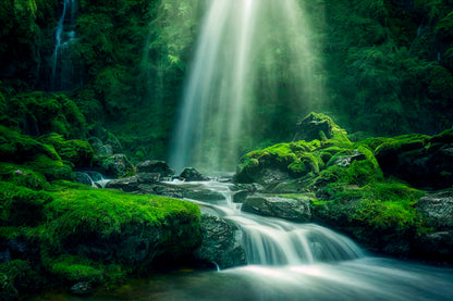 Natural Waterfall with Rocks and Green Moss  Acrylic Glass Print Tempered Glass Wall Art 100% Made in Australia Ready to Hang