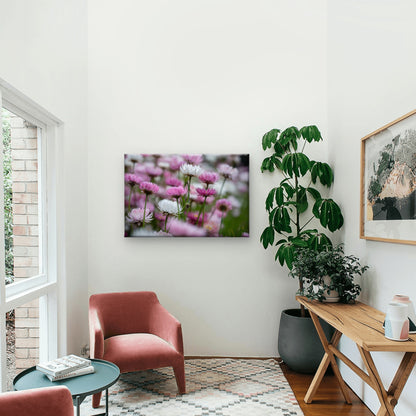 Australian Pink and White Paper Daisy Wall Art Decor 100% Australian Made