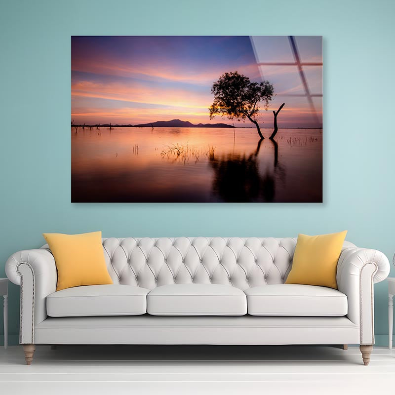 Tree and Lake in the Morning Acrylic Glass Print Tempered Glass Wall Art 100% Made in Australia Ready to Hang