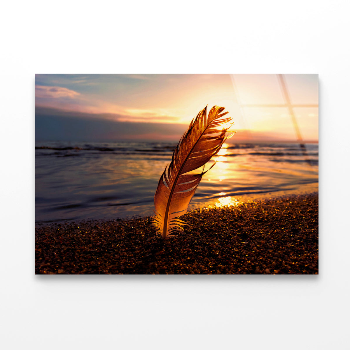 Feather With Sunset in Seashore Acrylic Glass Print Tempered Glass Wall Art 100% Made in Australia Ready to Hang
