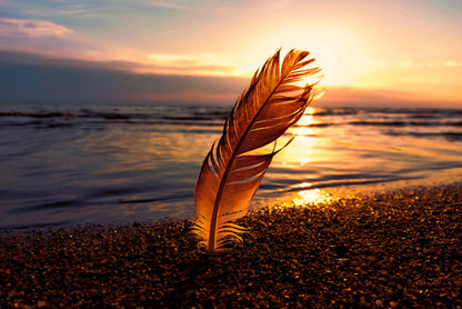 Feather With Sunset in Seashore Home Decor Premium Quality Poster Print Choose Your Sizes