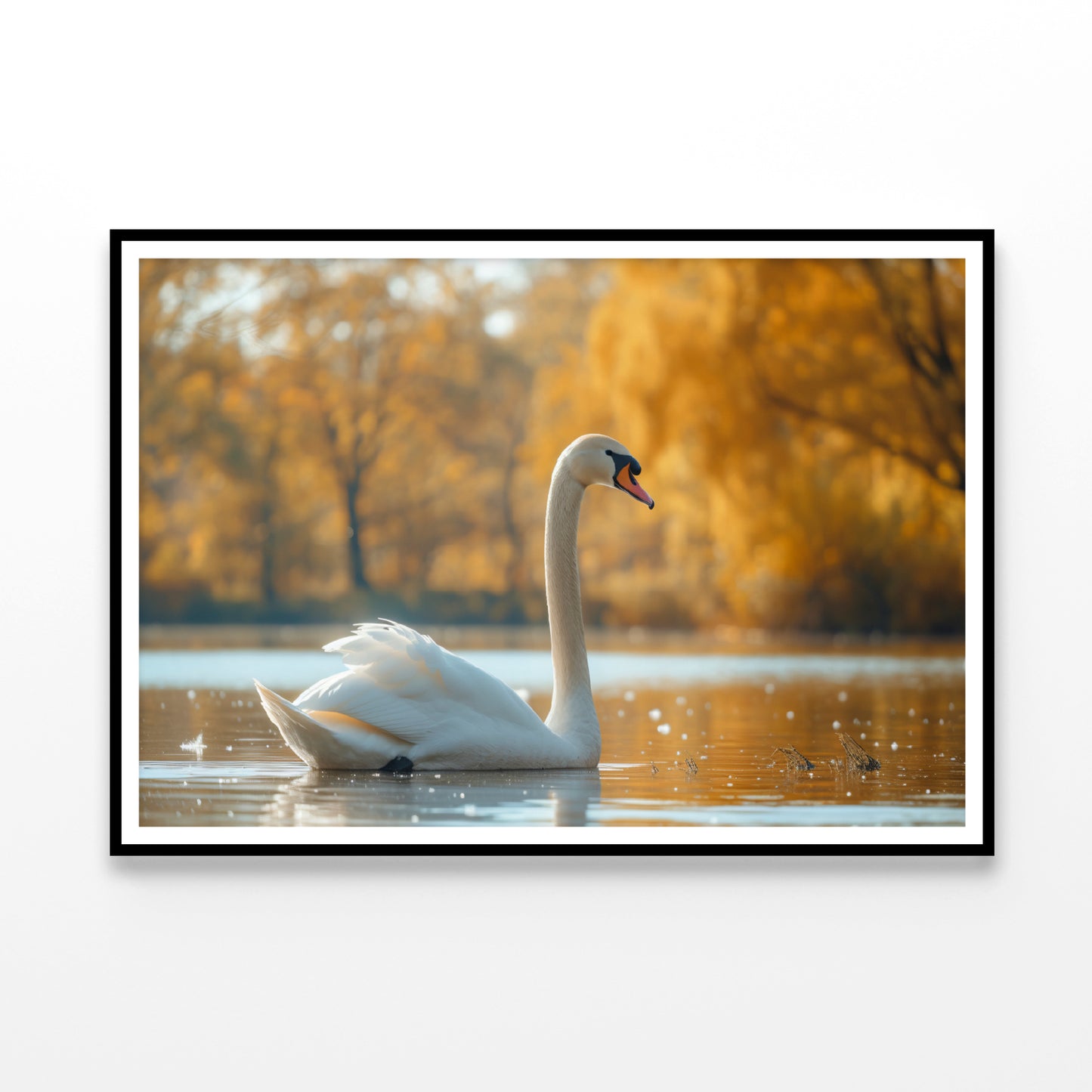 Swans on Autumn Pond View Home Decor Premium Quality Poster Print Choose Your Sizes