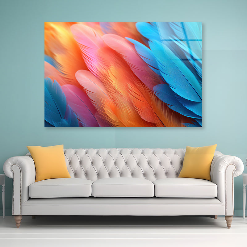 Feathers of a Bird Acrylic Glass Print Tempered Glass Wall Art 100% Made in Australia Ready to Hang