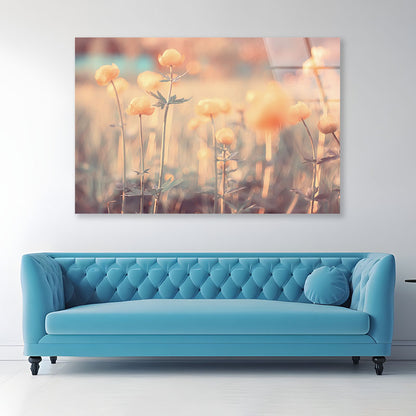 Spring or Summer Flowers Acrylic Glass Print Tempered Glass Wall Art 100% Made in Australia Ready to Hang