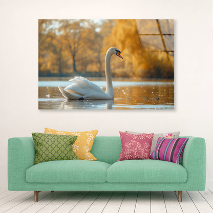 Swans on Autumn Pond View Acrylic Glass Print Tempered Glass Wall Art 100% Made in Australia Ready to Hang