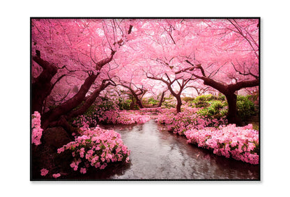 Blooming Pink Cherry Blossom Trees Home Decor Premium Quality Poster Print Choose Your Sizes