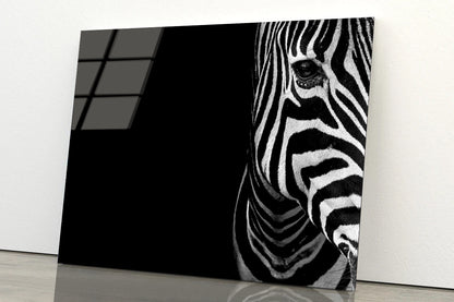 Half Face of Zebra with Black Acrylic Glass Print Tempered Glass Wall Art 100% Made in Australia Ready to Hang