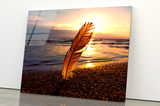 Feather With Sunset in Seashore Acrylic Glass Print Tempered Glass Wall Art 100% Made in Australia Ready to Hang