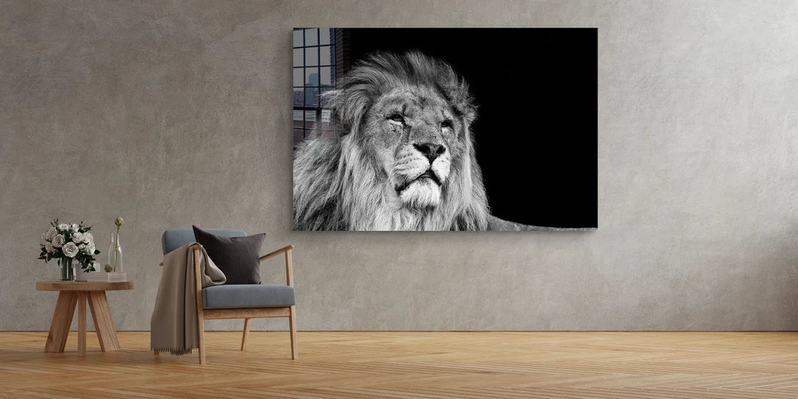 Lion Face B&W View UV Direct Aluminum Print Australian Made Quality