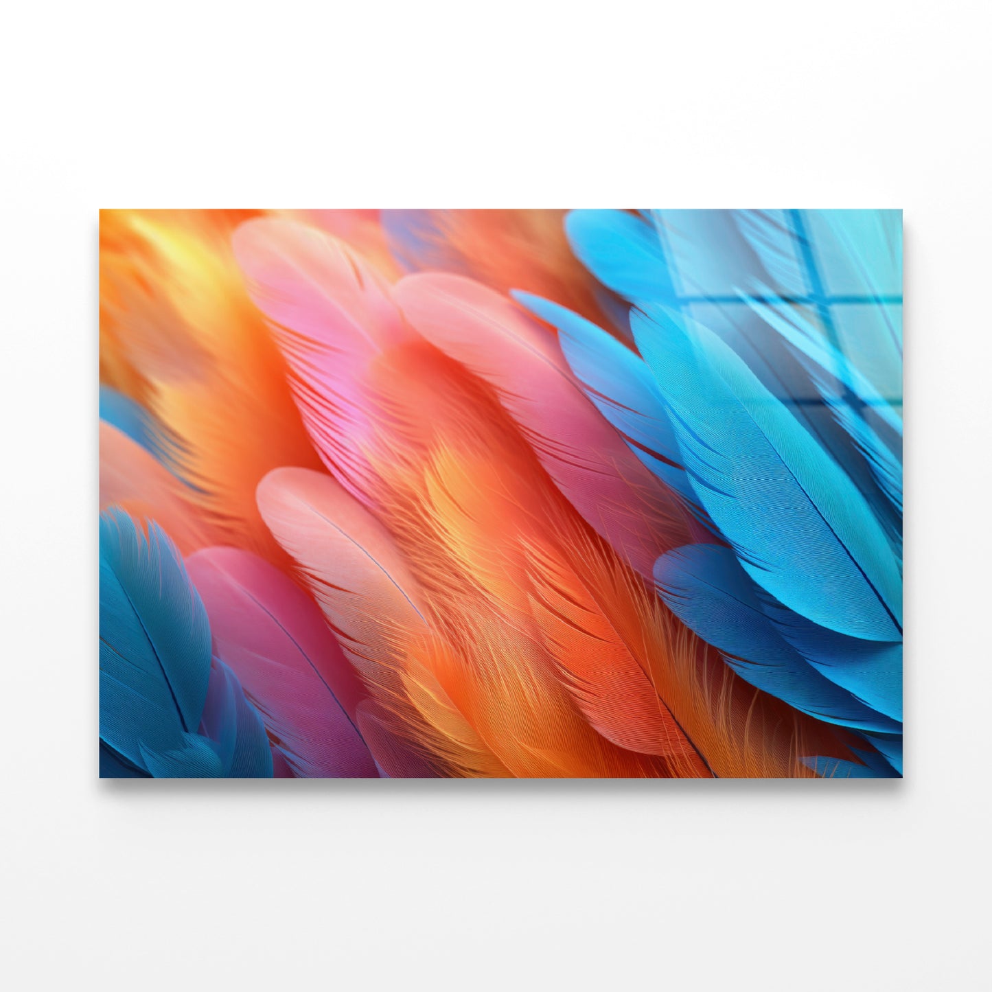 Feathers of a Bird Acrylic Glass Print Tempered Glass Wall Art 100% Made in Australia Ready to Hang