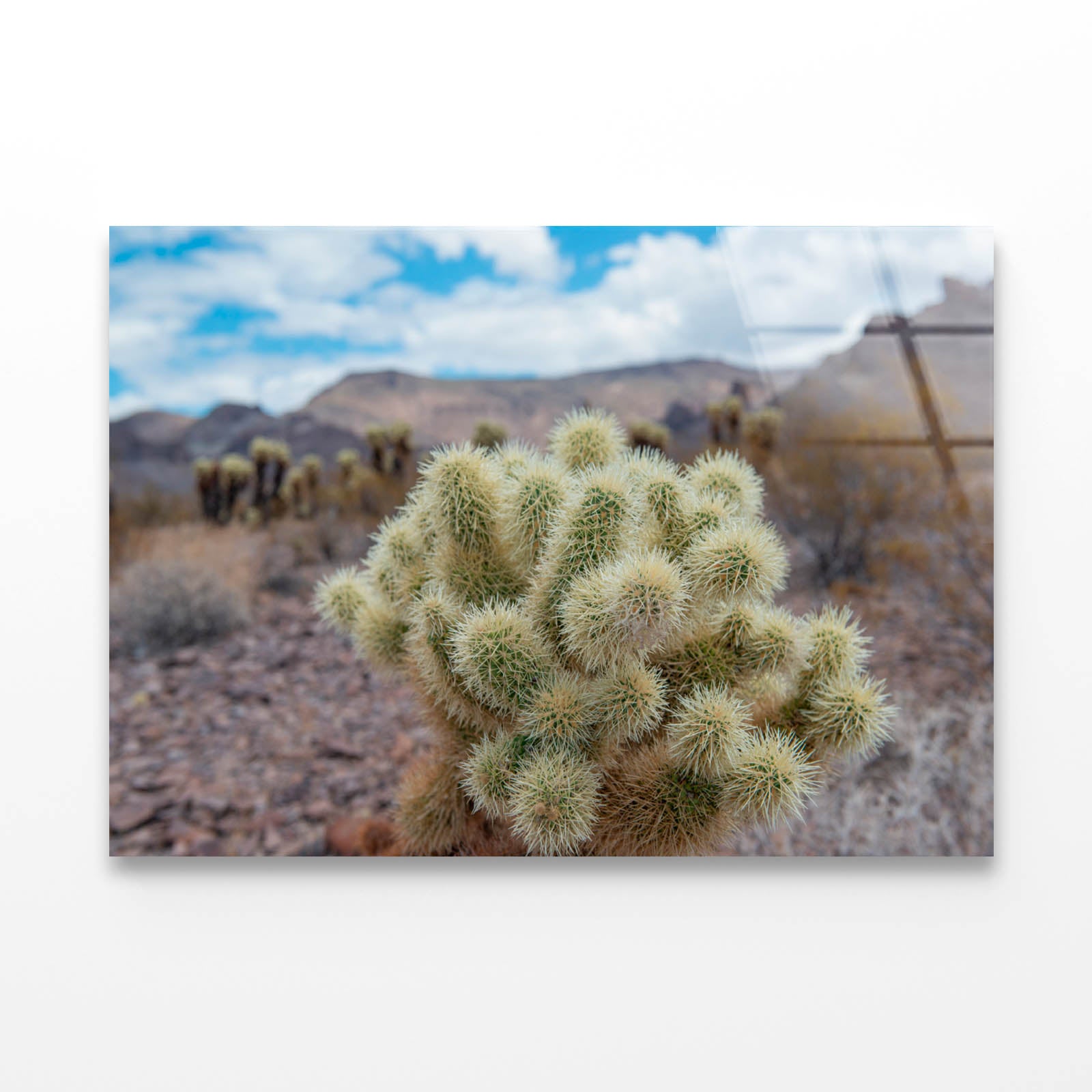 Death Valley in California Acrylic Glass Print Tempered Glass Wall Art 100% Made in Australia Ready to Hang