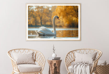 Swans on Autumn Pond View Home Decor Premium Quality Poster Print Choose Your Sizes