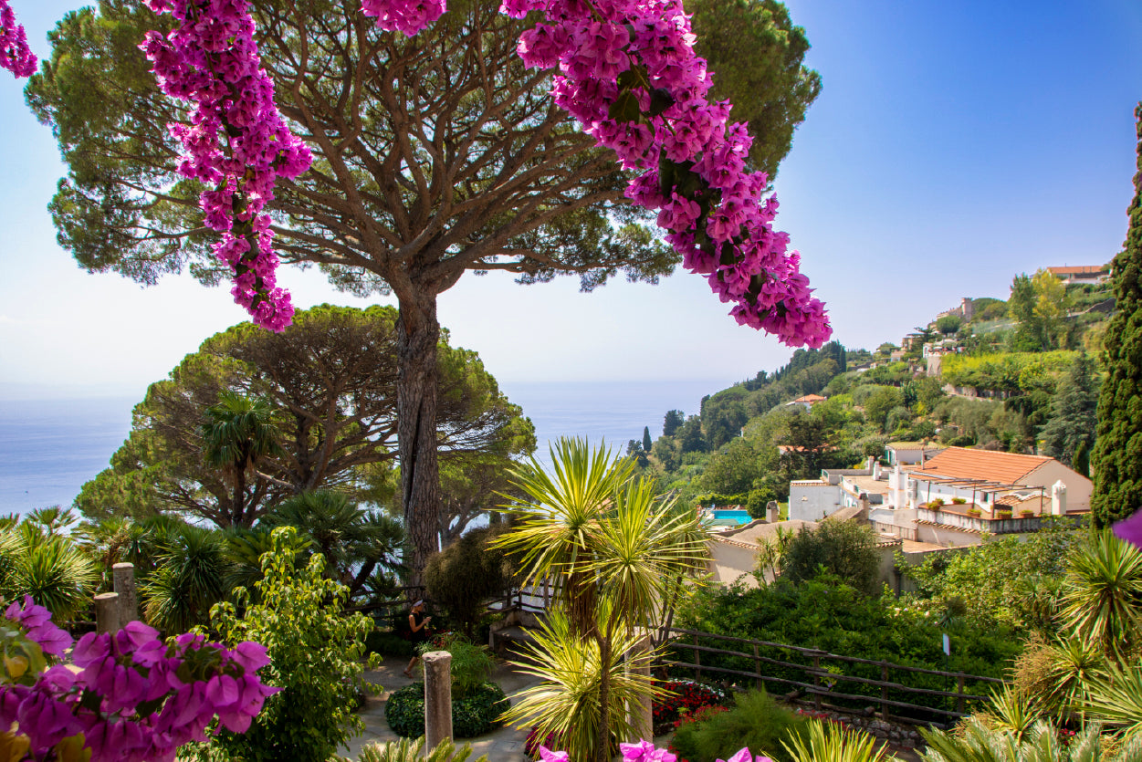 Umbrella Pine Tree and Flowers Home Decor Premium Quality Poster Print Choose Your Sizes