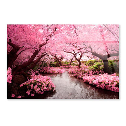 Blooming Pink Cherry Blossom Trees  Acrylic Glass Print Tempered Glass Wall Art 100% Made in Australia Ready to Hang