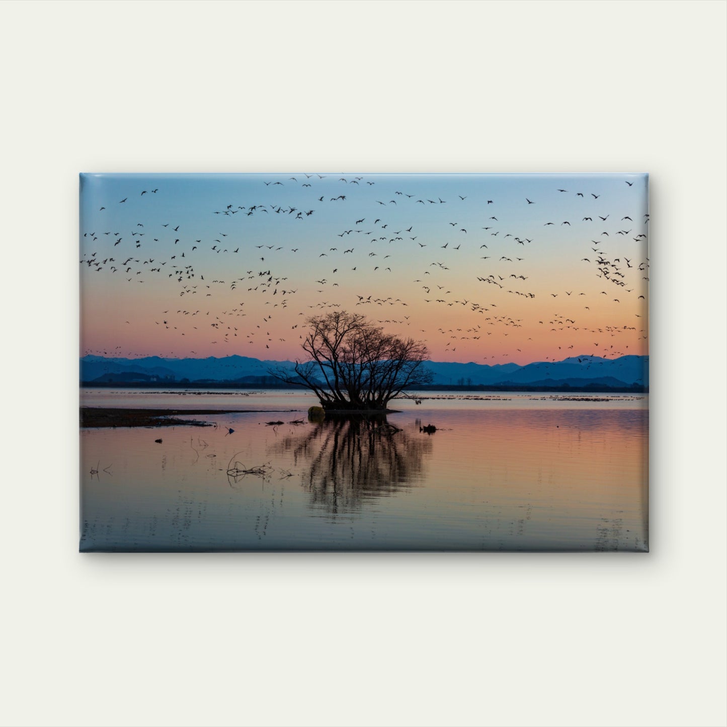 Migratory Birds Sunset Wall Art Decor 100% Australian Made