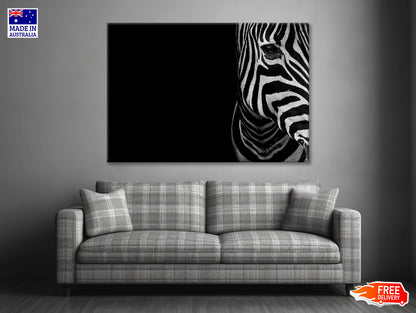 Half Face of Zebra with Black Print 100% Australian Made