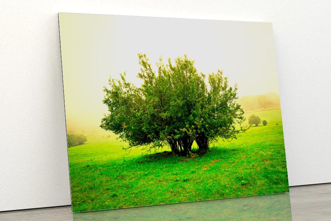 Grassland Scene Acrylic Glass Print Tempered Glass Wall Art 100% Made in Australia Ready to Hang