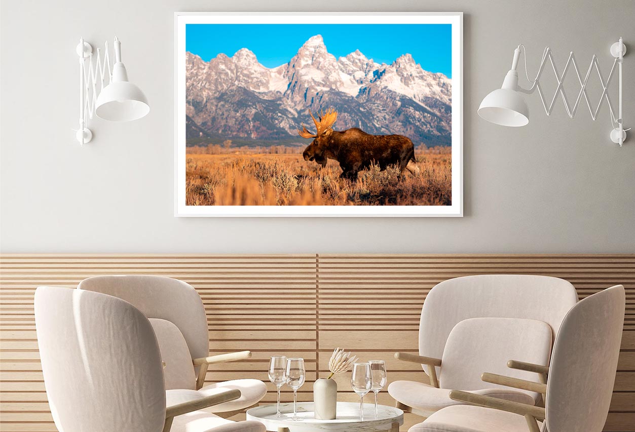 Bull Moose in Mountain Sky Home Decor Premium Quality Poster Print Choose Your Sizes