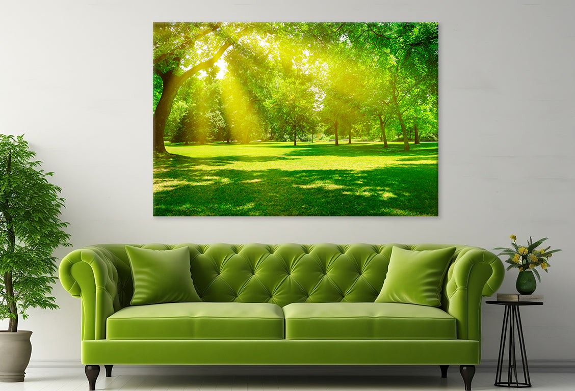 Sunrise Beam in Beautiful Park  Wall Art Decor 100% Australian Made