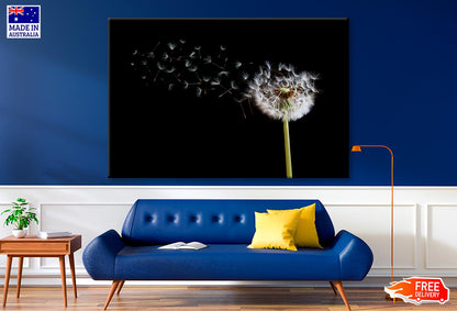 Dandelion Blowing in The Wind with A Black Wall Art Decor 100% Australian Made