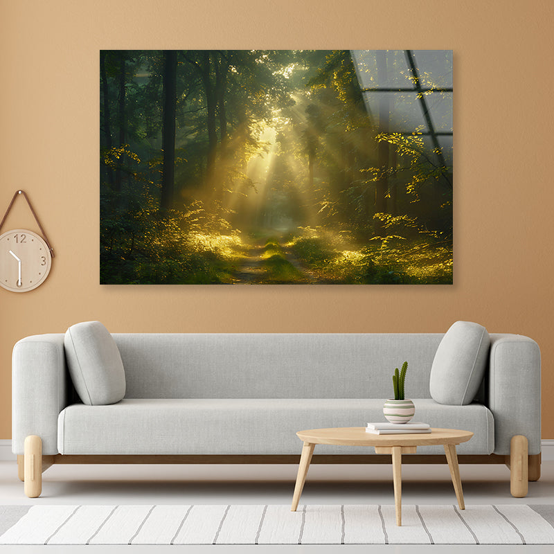 Sun Shining With Trees in a Forest Acrylic Glass Print Tempered Glass Wall Art 100% Made in Australia Ready to Hang