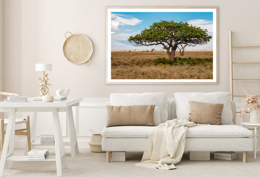 Close-up of a Tree in Tanzania Home Decor Premium Quality Poster Print Choose Your Sizes