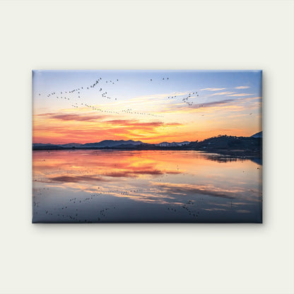 Birds Flying Lake Sunset Wall Art Decor 100% Australian Made