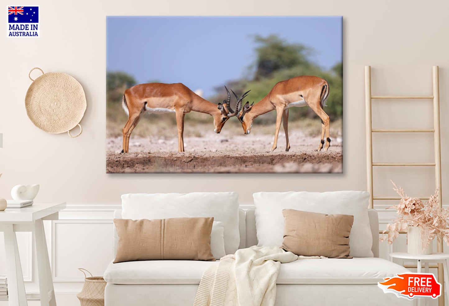 Two Fighting Male Impala Antelopes Wall Art Decor 100% Australian Made