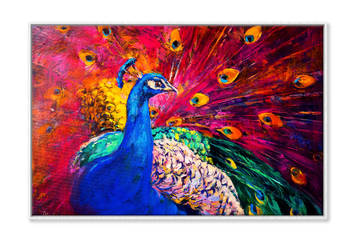 Multicolored Peacock Watercolor Painting Wall Art Limited Edition High Quality Print Canvas Box Framed White