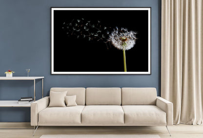 Dandelion Blowing in The Wind with A Black Home Decor Premium Quality Poster Print Choose Your Sizes