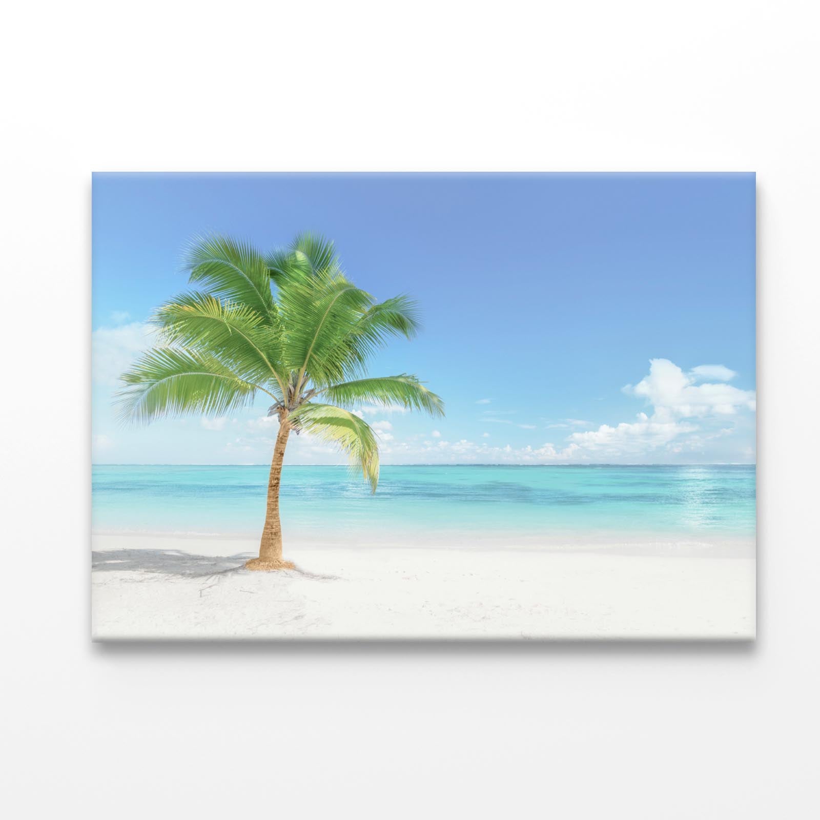 Single Coconut Tree Beach Acrylic Glass Print Tempered Glass Wall Art 100% Made in Australia Ready to Hang