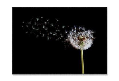 Dandelion Blowing in The Wind with A Black Home Decor Premium Quality Poster Print Choose Your Sizes