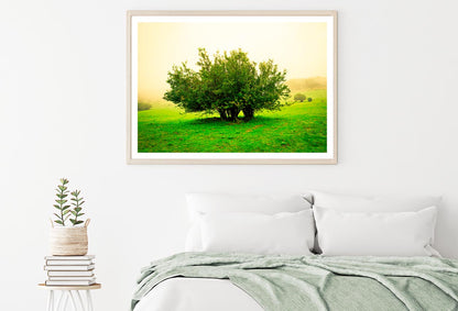 Grassland Scene Home Decor Premium Quality Poster Print Choose Your Sizes