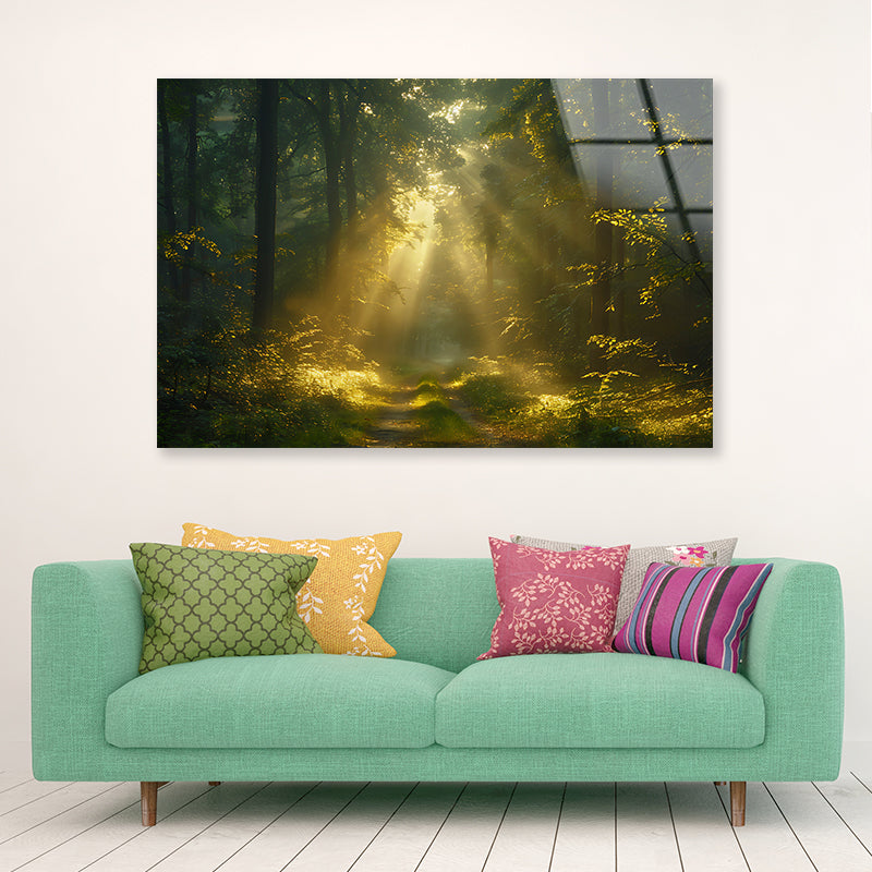 Sun Shining With Trees in a Forest Acrylic Glass Print Tempered Glass Wall Art 100% Made in Australia Ready to Hang