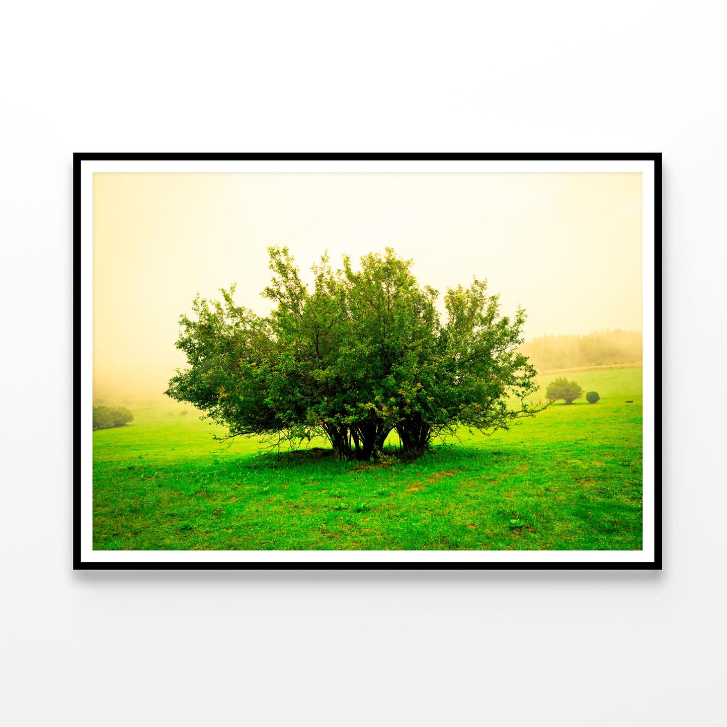 Grassland Scene Home Decor Premium Quality Poster Print Choose Your Sizes