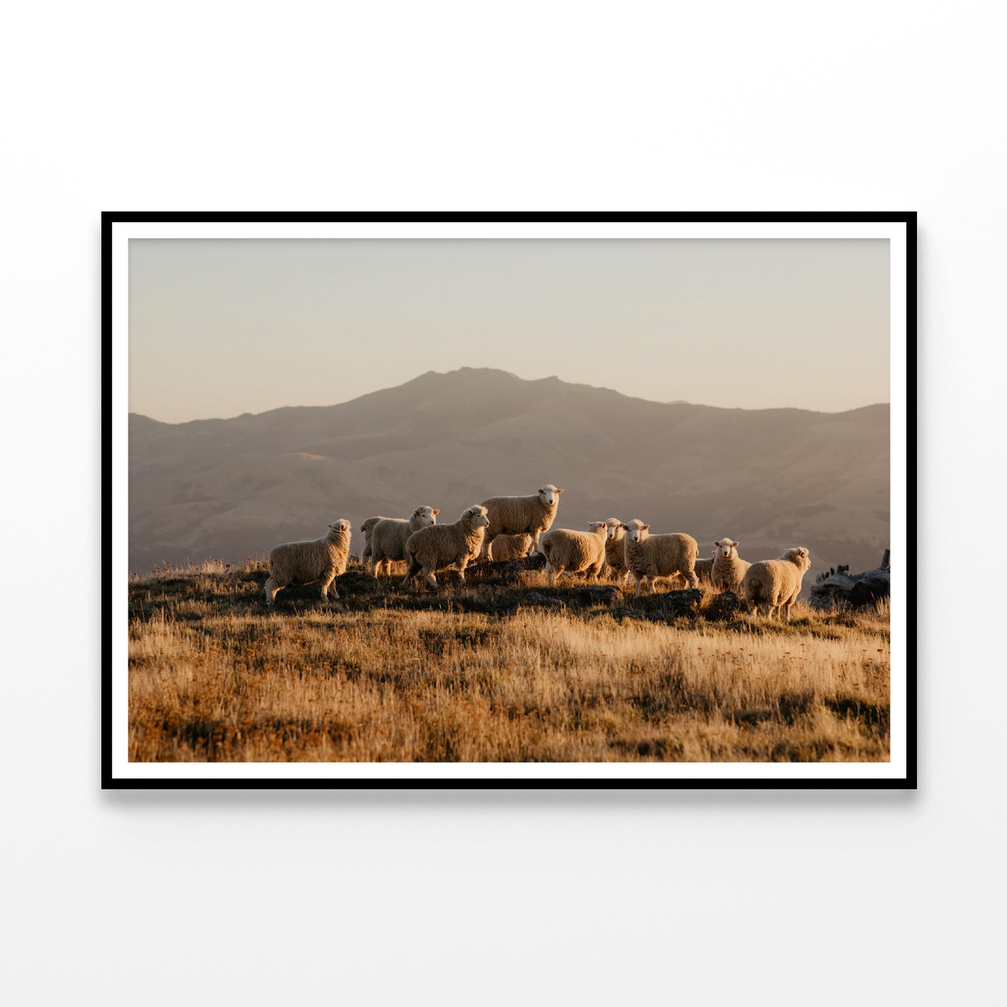 Herd Of Sheeps on With Mountain Home Decor Premium Quality Poster Print Choose Your Sizes