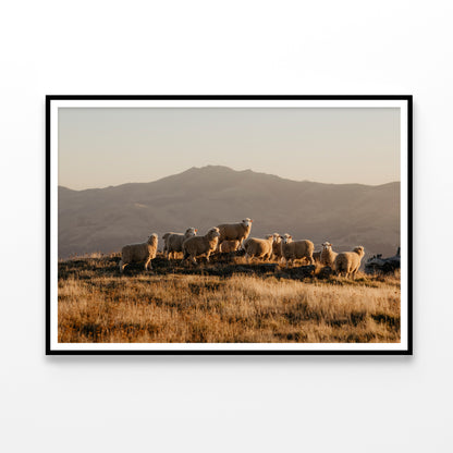 Herd Of Sheeps on With Mountain Home Decor Premium Quality Poster Print Choose Your Sizes