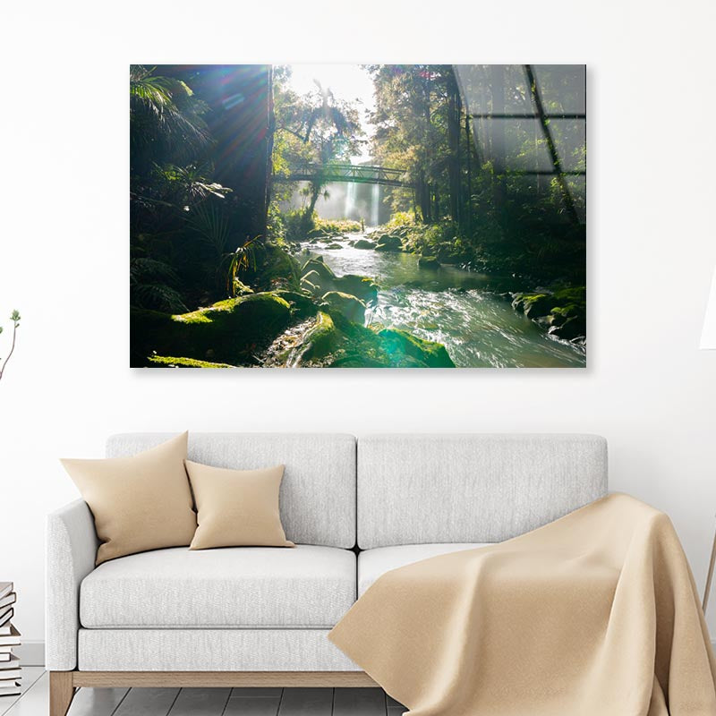 Misty Dark Dense Bush Lining Hatea River and Whangarei Fall Acrylic Glass Print Tempered Glass Wall Art 100% Made in Australia Ready to Hang