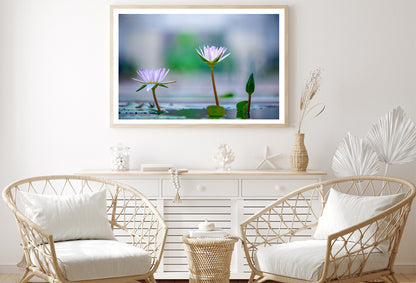 Lotus with Yellow Pollen on Blue Surface of Pond Home Decor Premium Quality Poster Print Choose Your Sizes